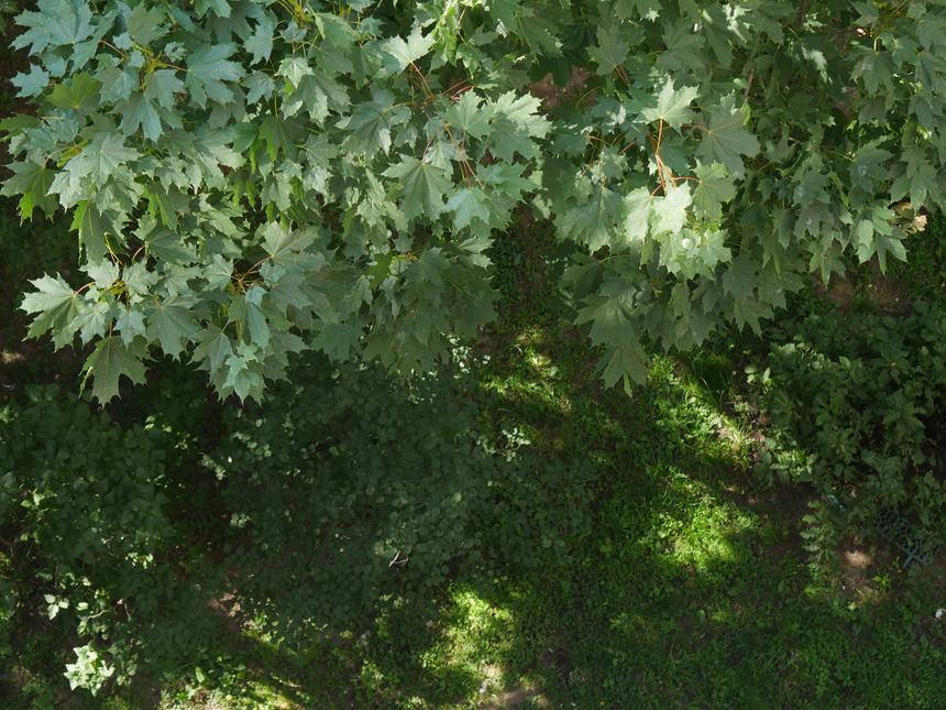 Panasonic Lumix GH4, 46 мм, ISO 400, f/6.3, 1/100 c