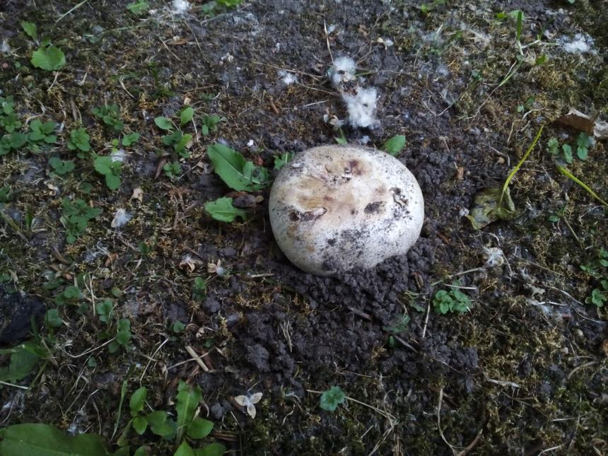 Пример съемки встроенной камерой Haier W852