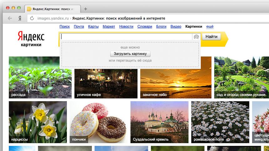 Поиск по картинкам Яндекс