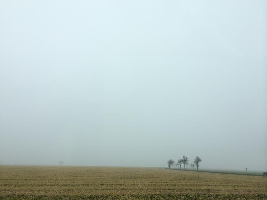 Утренний туман в окрестностях Ганновера