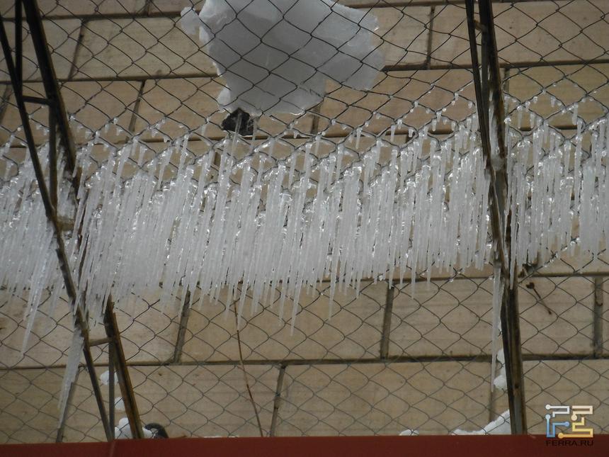 Fujifilm XP50, 25 мм, f/8,0, 1/340 c, ISO 200