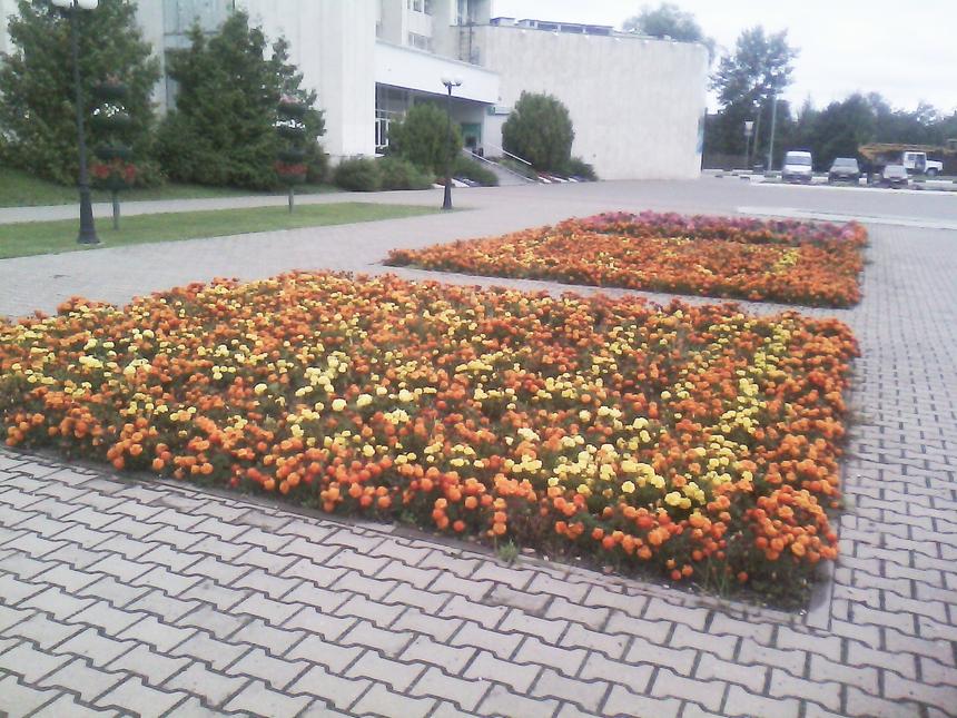 NETTAB SKAT RX - основная камера (4)