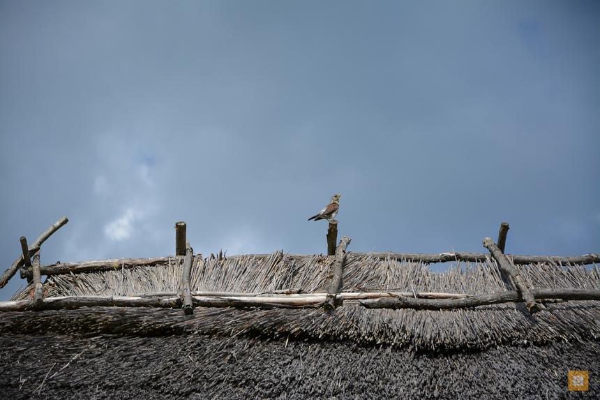 Nikon D7100, ISO 100, 105 мм F5.6, 1/800 c