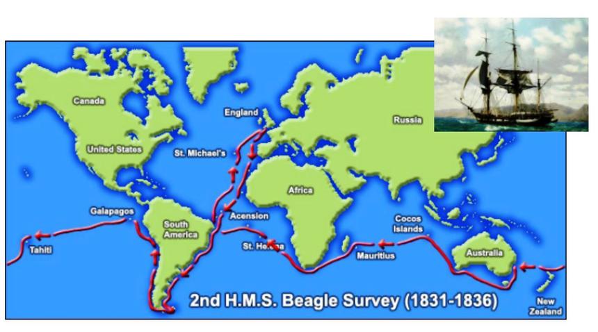 Схема кругосветного путешествия Дарвина на корабле «Beagle»