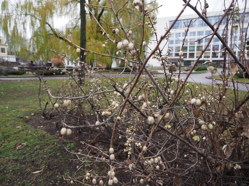 Olympus OM-D E-M1, ISO 250, 12 мм, f/2.8, 1/60 c