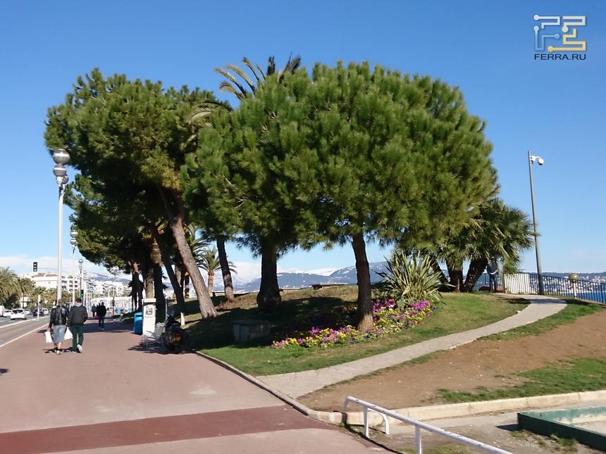 Пример съёмки камерой защищенного смартфона Sony Xperia Z