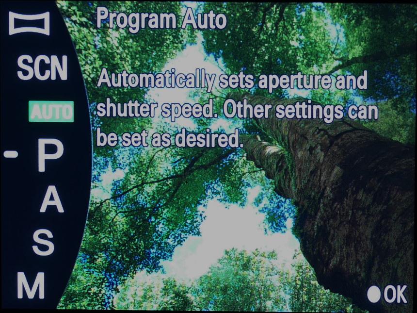 Король суперзумов. Обзор Sony Cyber-shot DSC-RX10