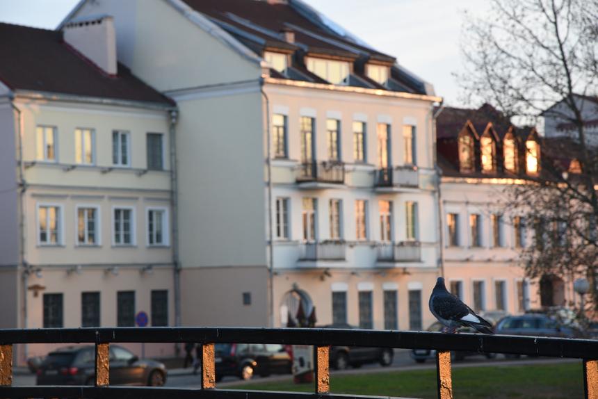 Nikon D750, 105 мм, ISO 640, F8, 1/200 c