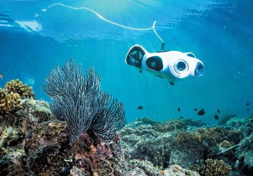 0f61b3f44eaded6be9c5f044b7a066ae5c6955a3