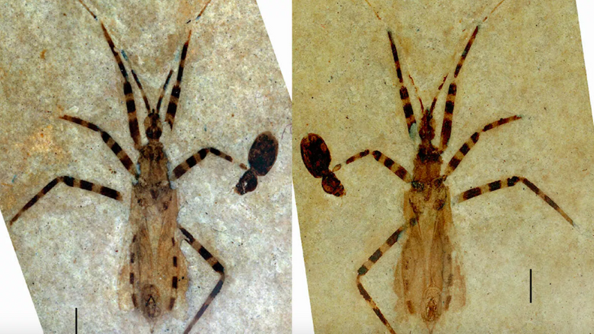 33d9809b8010e25060d832a42389a8e9a62c0b3f