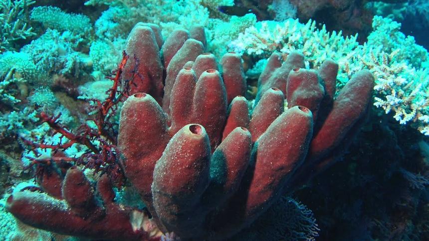 64f5f7c8250b260f631ba5df2412f4602870e362