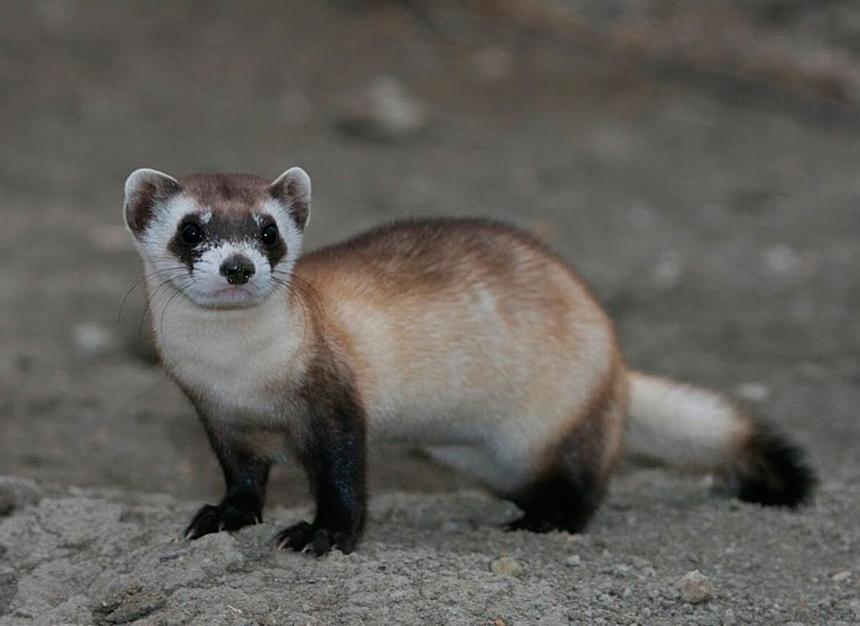 d152531d330399168f42d9e266ec486db15047a8