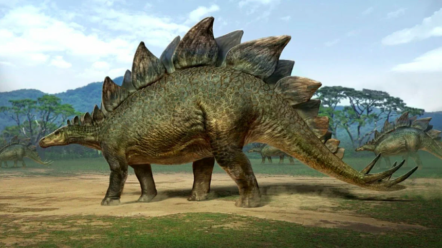 605aa2194836a25905f025d1144e525fba93f79d