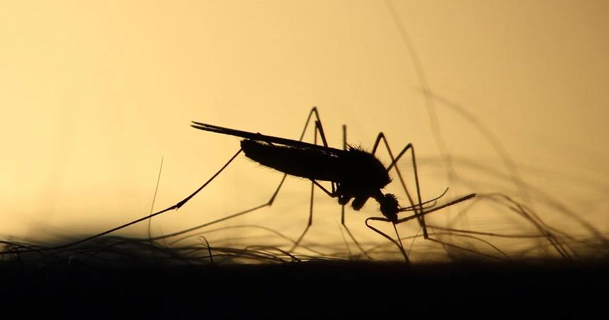 7ddea55924835898a15da486fc6386c7a80604aa