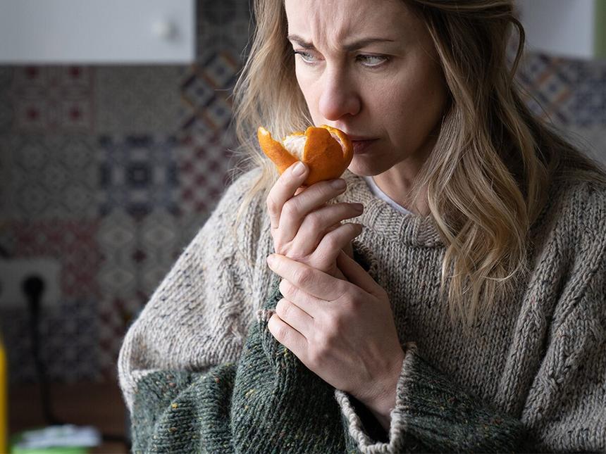 d4fd6a365640aa4cd4efcc01a83f1cd11e4a862a