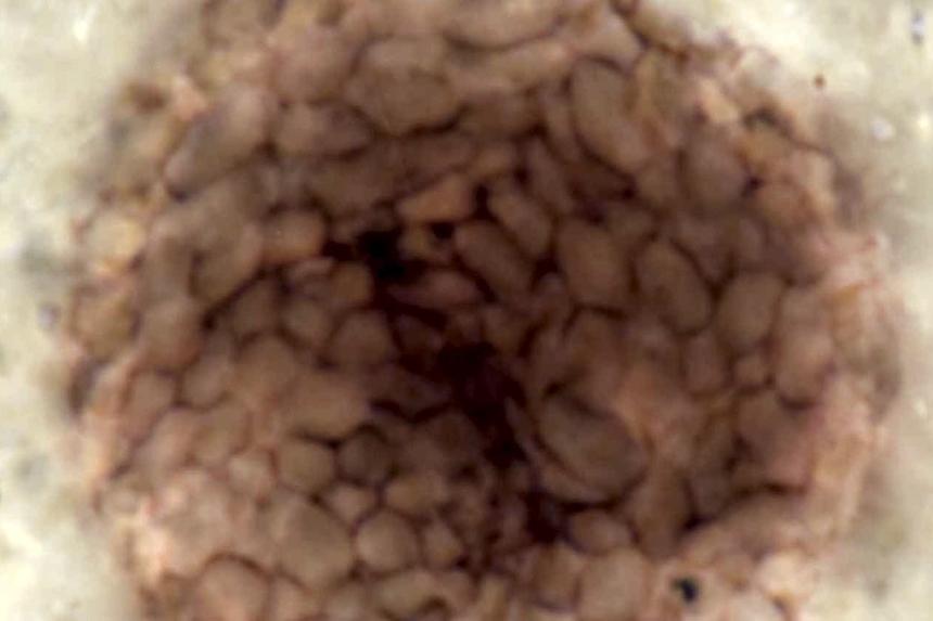 2ba1e785b8f7ac8e3561f58714cb4330ee396e04