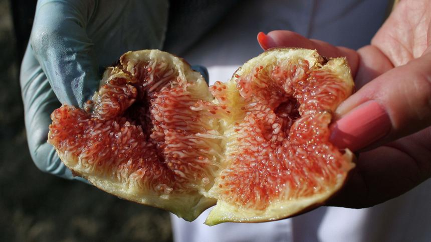 e7c446486ac9f31b71b6e41b417a3c9ec269d1b3