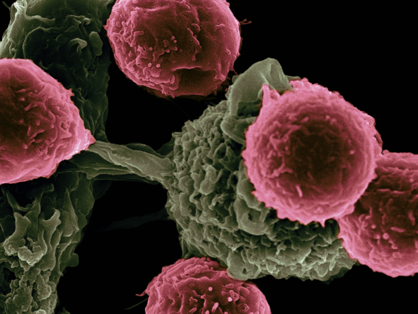 6a7510c835799333020e51e60c63f446cf1f4a16