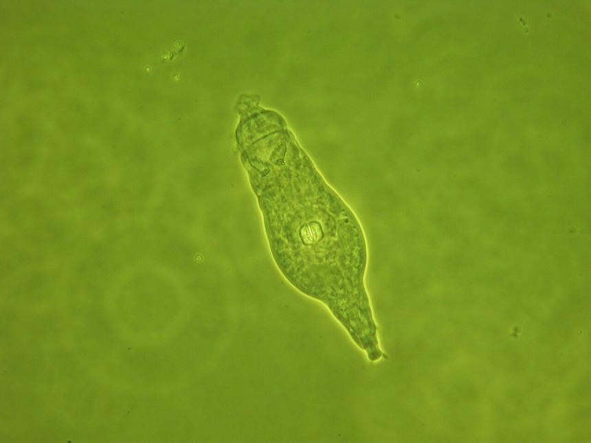 9b1c55e5c76ff8e01e7df3c5c61d3217dc04efe6