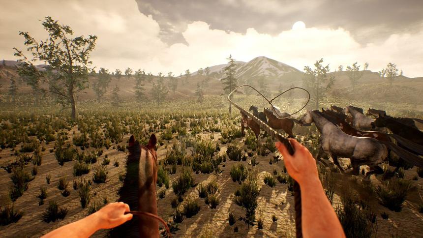 20ecc9daf077fdd8e5a2d73c177f9f6eba2fca92