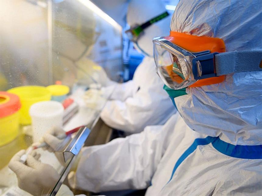 При каких условиях коронавирус может передаваться от животных людям