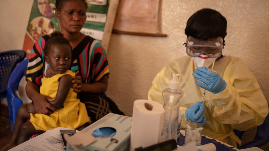 В останках переболевших лихорадкой Эбола животных нашли смертельный вирус