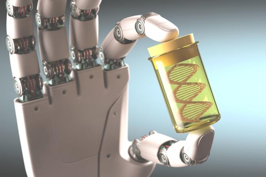 Учёные внедрили стволовые клетки человека в робота