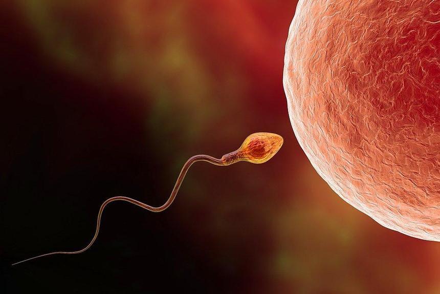 Ученые: загрязнение воздуха негативно влияет на качество спермы