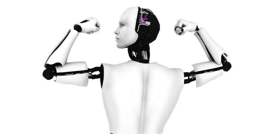 Созданные с нуля мышцы научили сокращаться