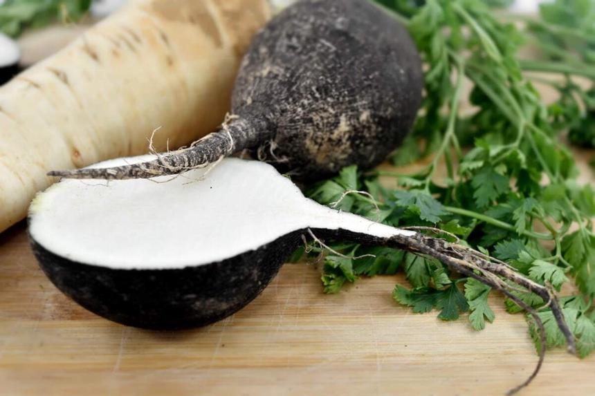 Чем редька полезна для здоровья