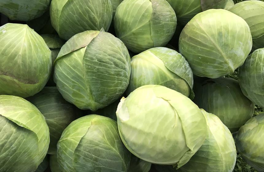 Почему для здоровья нужно регулярно есть белокочанную капусту