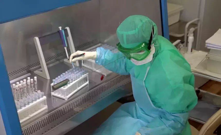 Учёные обнаружили эффективную против коронавируса молекулу