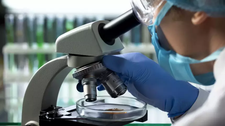 Учёные насчитали уже около 50 подвидов омикрон-штамма коронавируса