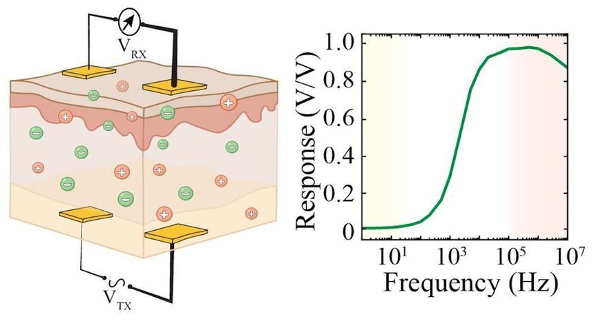 Ученые научились записывать информацию в ионы человеческих тканей