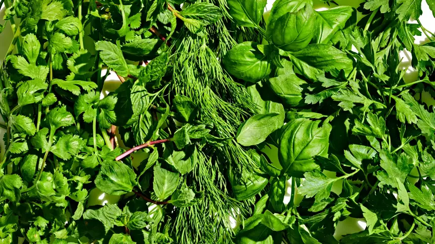 Названа категория людей, которым нельзя есть зелень