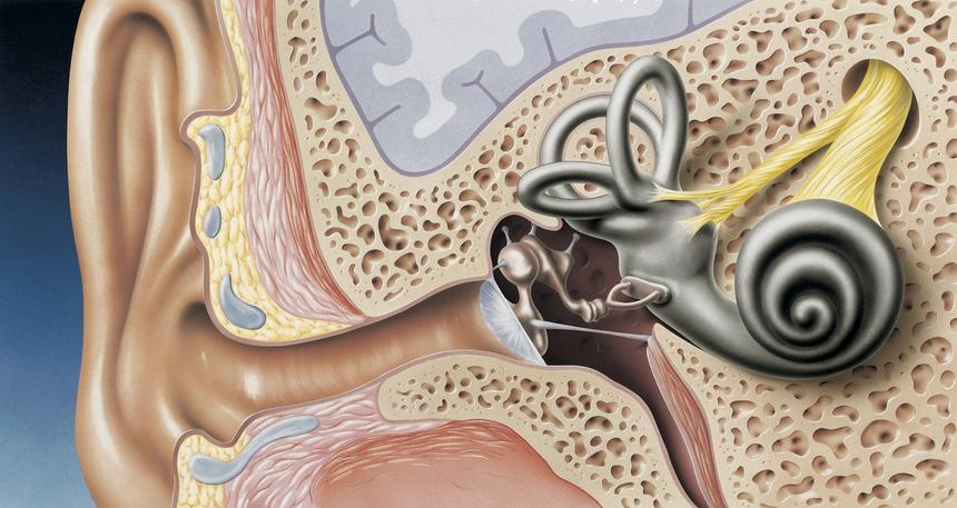 Может ли ваш ребёнок потерять слух из-за антибиотиков? Теперь это можно проверить