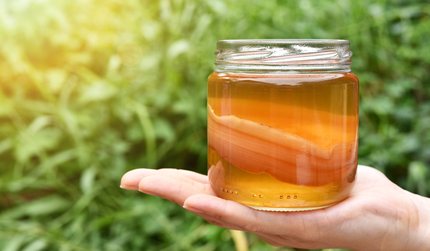 Можно ли пить чайный гриб каждый день