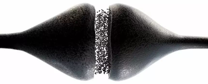 Какие вещества нужны мозгу для защиты от шизофрении