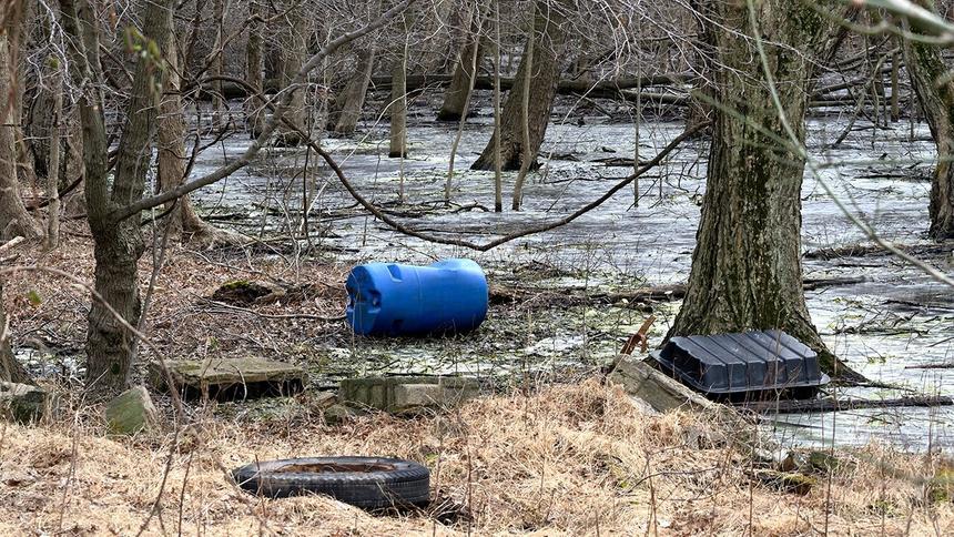 "Пластмассовый мир победил": "вечные химикаты" из пластика оказались губительны для печени