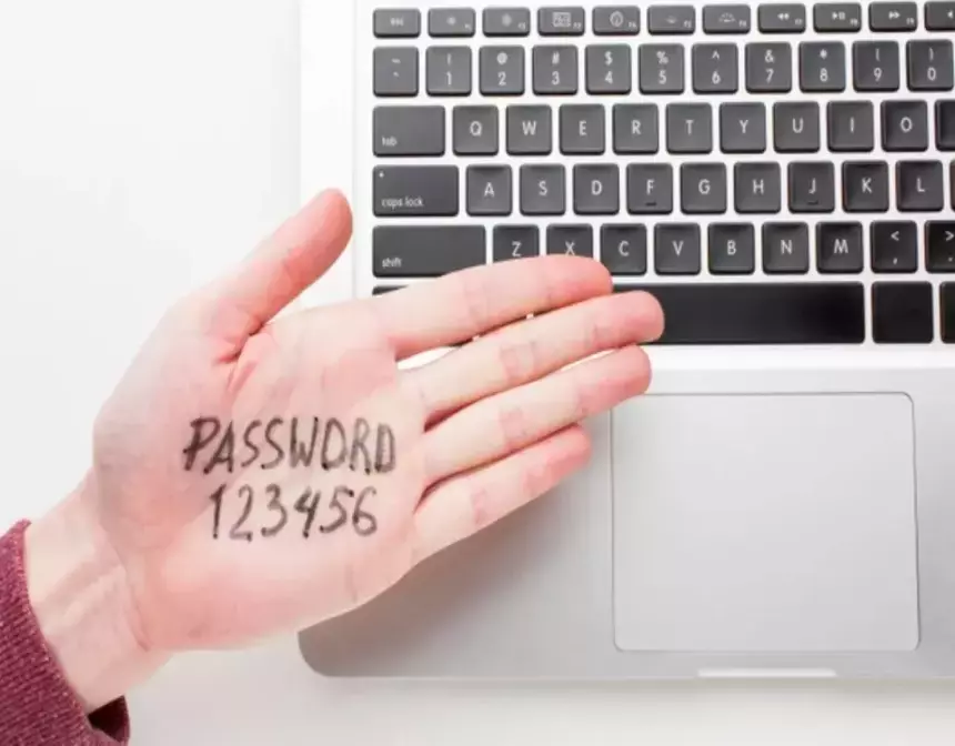 Всё по Задорнову: какими паролями защищают приложения американцы