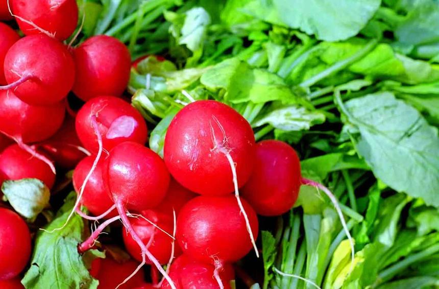 Редис назвали полезным для профилактики диабета