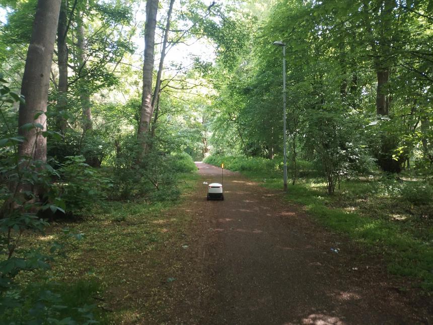 Бедный малый: робот-доставщик заблудился в лесу