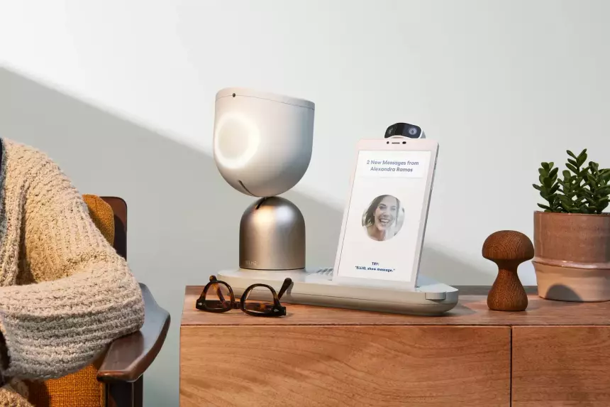 В США одиноким старикам власти подарят роботов, чтобы скрасить одиночество