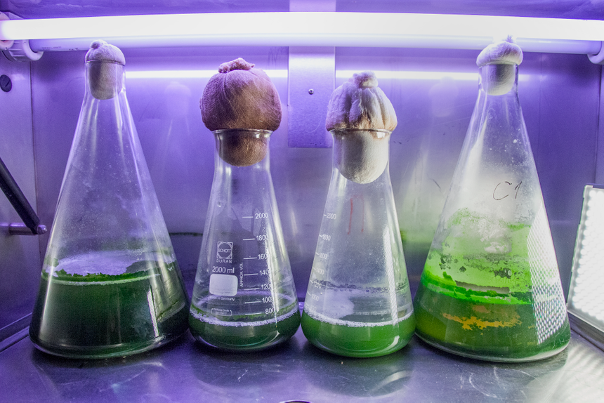 В России создали самоочищающуюся ткань для защиты от микробов и токсинов