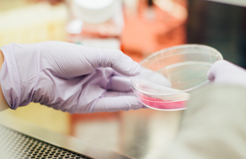 Российские учёные создадут новейшее лекарство от рака безопасное для здоровых клеток