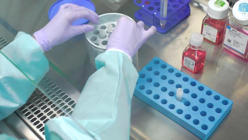 Донорские органы научились дольше держать замороженными