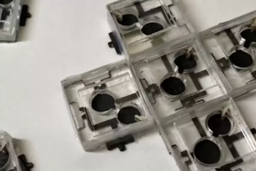 Бактерии вырабатывали электричество в течение нескольких недель