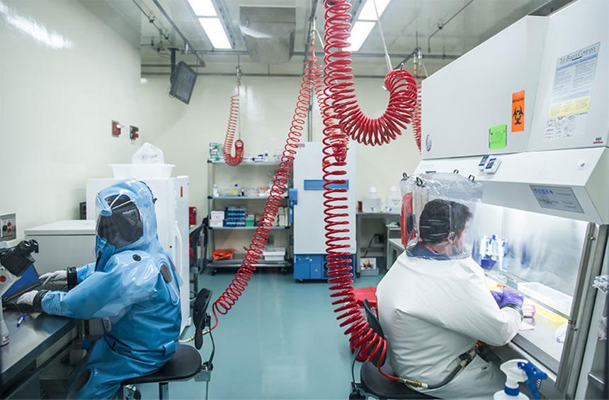 Учёные: симптомы оспы обезьян, которая распространяется в Европе, не похожи на предыдущие вспышки