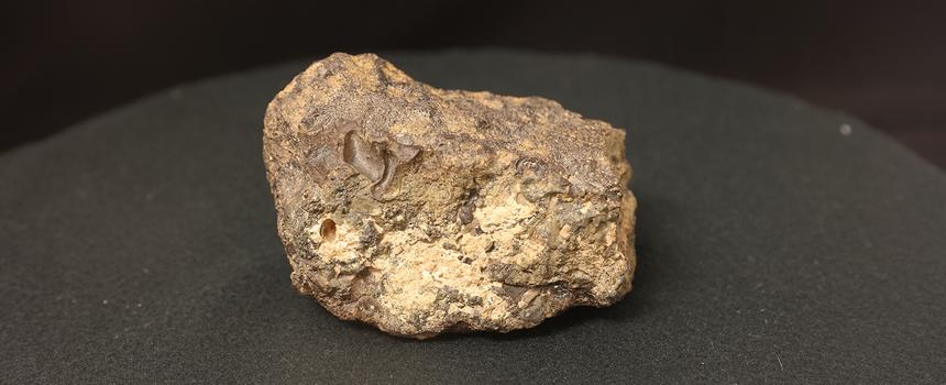 Как марсианские метеориты связаны с происхождением Земли