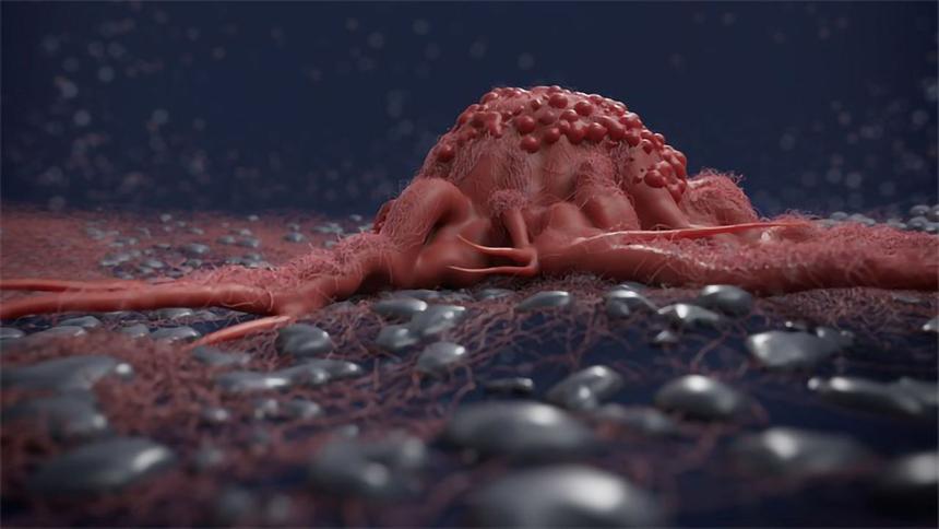 Почему клетки перемещаются быстрее через мед, чем через кровь